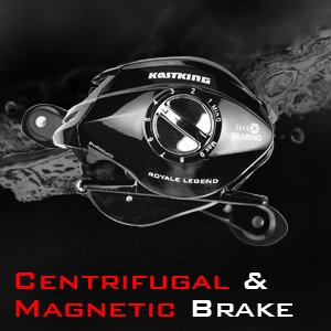 7ZZafu1RRpiq._UX300_TTW_